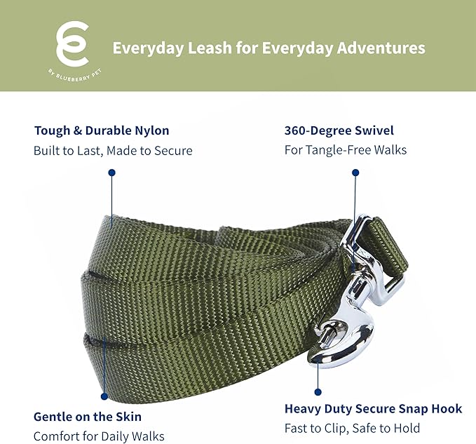 Blueberry Pet Essentials Military Green Dog Leash for X-Small -5' * 3/8" Dogs | Heavy Duty Nylon Lead | Lightweight Puppy & Cat Leash for Walking & Training