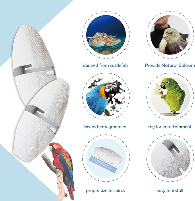 Jmxu's 5"-5.5" Bird Cuttlebone for Parakeets, Cuddle Bone with Metal Holder, Cuttlefish Bone for Sharp Beaks, Natural Birds Calcium for Parrots Cockatiels Budgie, 6 Pcs