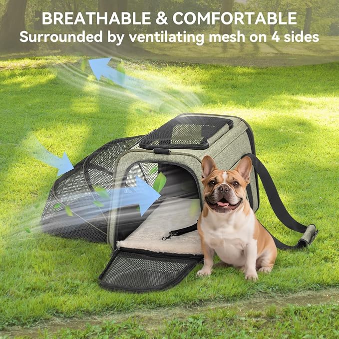 Petsfit Expandable Cat Carrier Dog Carrier, Soft-Sided Collapsible Portable Pet Carrier, 19x12x12, Green