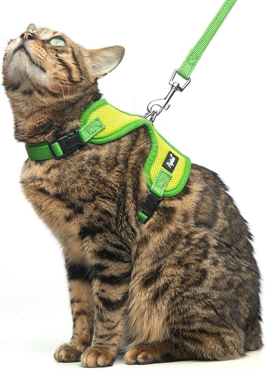 PUPTECK Cat Harness and Leash Set Escape Proof, Reflective Adjustable Soft Mesh Kitten Vest Harness for Walking Travel, Green, M