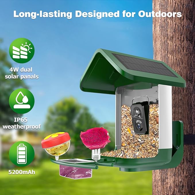 Bird Feeder with Camera Solar Powered : Smart Bird Camera Feeder 2K Live Feed for Backyard - AI Identify Auto Capture Videos, Gifts for Birdlovers Mom Dad, 2.4GHz WiFi