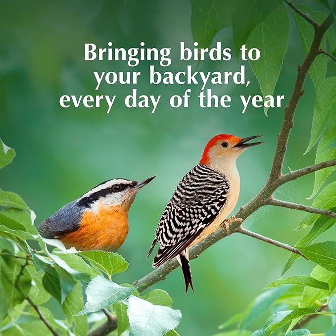 C&S Sunflower Suet Nuggets, Wild Birds Food For Woodpeckers, Chickadees, Nuthatches, and More, 8 Pounds