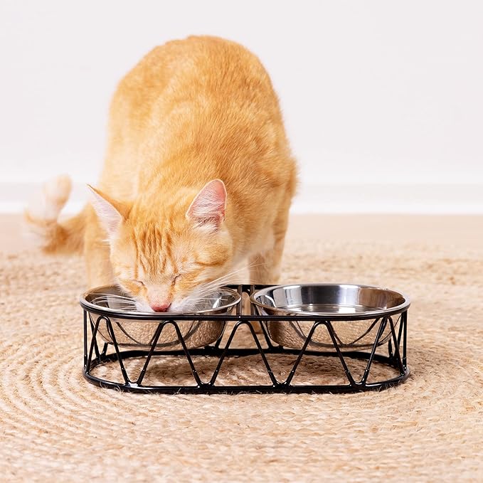 Navaris Stainless Steel Dog Bowls - Cat Food Bowls with Stand - Elevated Double Bowl and Holder for Cats & Small Dogs Raised Metal Wire Stand - Black