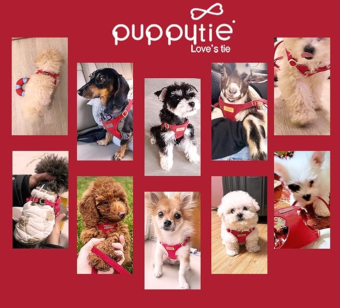 Puppytie No Pull xs Dog Harness with Multifunction Dog Leash,Soft Adjustable No Choke Escape Proof Pet Harness Vest,red-Camellia,XS