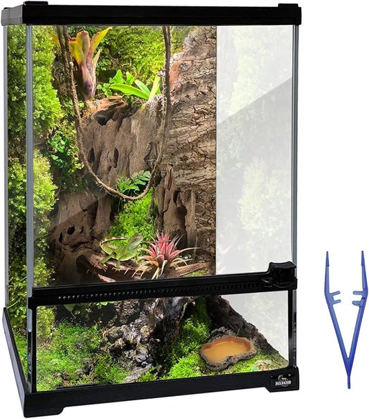Reptile Glass Terrarium Tank 10 * 10 * 14in, Full View with Front Opening Door,Amphibians Enclosure Habitat Cage for Leopard Gecko Tarantula Young Lizard Hermit Crab Frog Insects Breeding