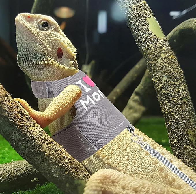 Bearded Dragon Harness and Leash Set - Adjustable Reptile Harness with Cute Design for Small Animals | Comfortable Outdoor Walking Gear for Lizards