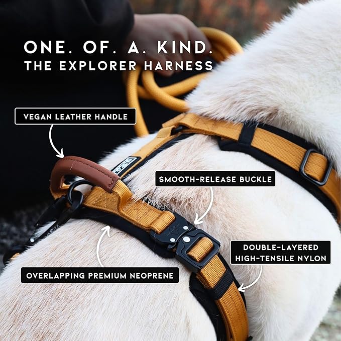 MADE TO ROAM Premium Explorer Harness - Y-Shaped Dog Harness with Adjustable Durable Nylon, Soft Padding, Metal Buckles and Leather Handle for Small, Medium, Large Dogs (Utah Glow, Size 3)