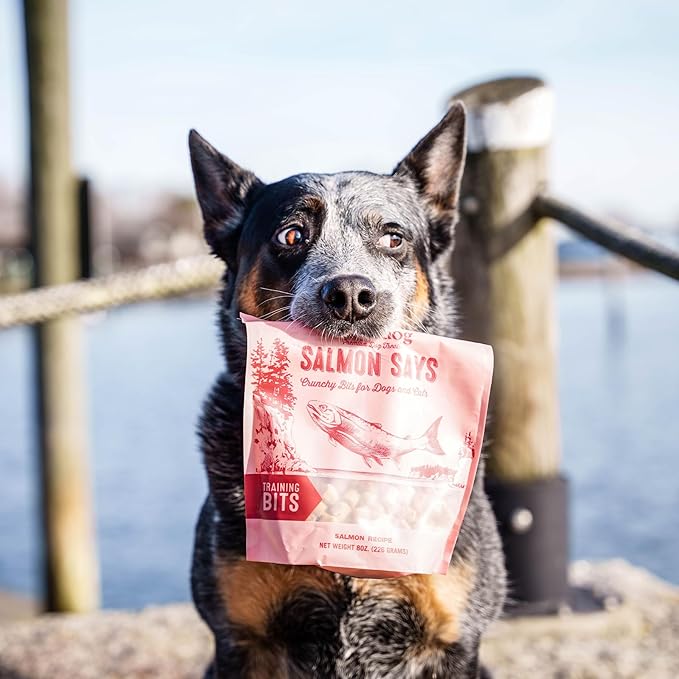 Polkadog Salmon Says Training Bits - Omega-3 Rich, Low Fat Healthy Dog Treat - Digestible, Vitamin & Mineral Packed Dog Snacks - Crunchy 3-Ingredient Treat, Ideal for Dogs with Allergies - 7oz