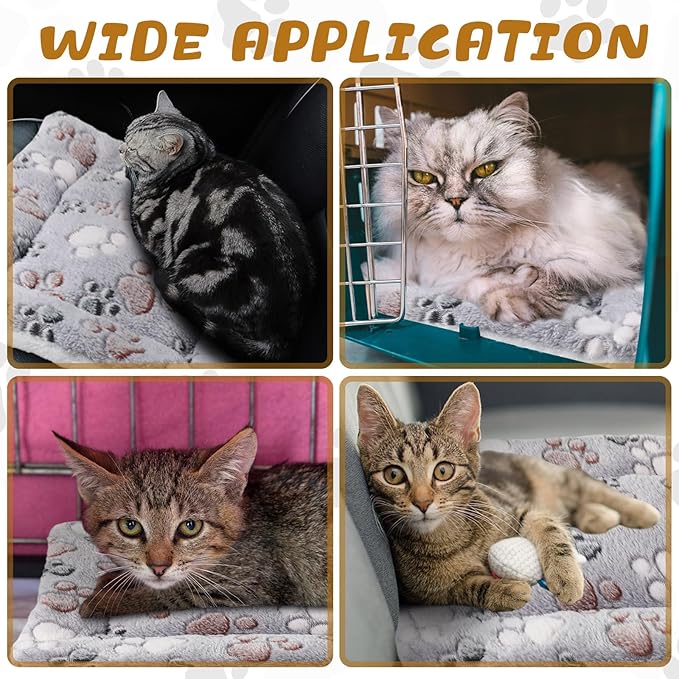 Tuanse 4 Pack Ultra Soft Dog Cat Bed Mat with Cute Prints Reversible Fleece Dog Crate Kennel Pad Cozy Washable Thickened Hamster Guinea Pig Pet Bed Mat for Small Animals(13 x 19 Inches,Light Gray)