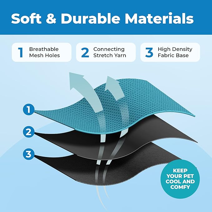 Voyager Escape Proof Cat Harness and Leash Set with Reflective Stitching, Neoprene Handle 5ft - Supports Small, Medium and Large Cats, Kittens for Walking by Best Pet Supplies - BT-Turquoise, XXS