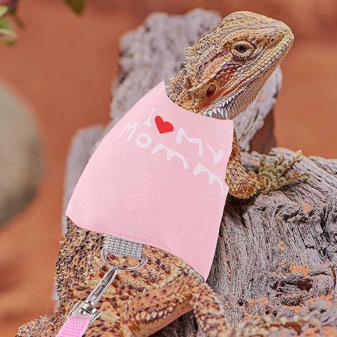 Bearded Dragon Adjustable Harness with Leash,Bearded Dragon Harness Leash Set for Lizards,Chameleon,Rat and Other Small Animal,Traction Rope Walking Leash Reptile Halloween Costume Accessories