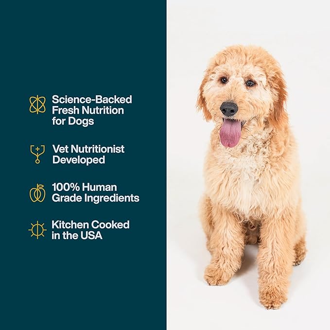 JustFoodForDogs JustFresh Wet Dog Food, Fresh Pet Meals and Toppers with No Preservatives, Resealable Package, Human Grade, Home-Cooked Beef, 12 oz - 7 Pack