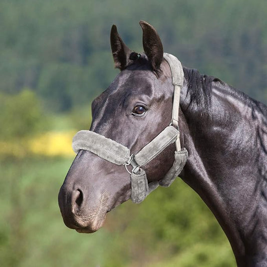 Harrison Howard Horse Halter Fleece Cover Set 9 Pieces