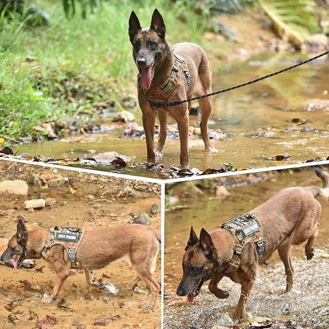 PET MARVEL Tactical Dog Harness for Large Size, No Pull Military Dog Vest with Easy Control Handle, Molle Hoop & Loop, Adjustable Reflective Reinforced Stich for Walking Training, Camouflage