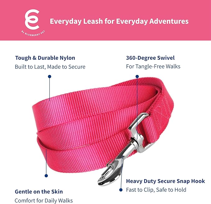 Blueberry Pet Essentials French Pink Dog Leash for X-Small -5' * 3/8" Dogs | Heavy Duty Nylon Lead | Lightweight Puppy & Cat Leash for Walking & Training