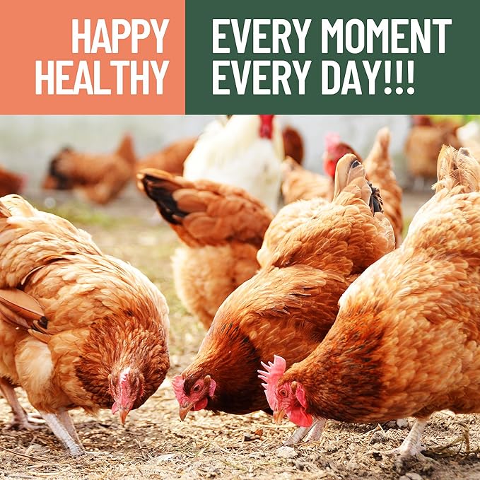 10LB Premium Non-GMO Dried Mealworms - High-Protein Natural Feed & Chicken Treats for Chickens, Ducks, Wild Birds, Quails & Reptiles - Support Egg Production & Feather Growth