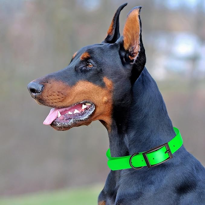 Dogline Biothane Waterproof Dog Collar Strong Coated Nylon Webbing with Black Hardware Odor- Proof for Easy Care Easy to Clean High Performance Fits Small Medium or Large Dogs, Tropical Green
