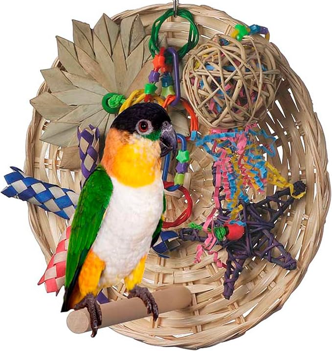 Super Bird Creations SB543 Busy Birdie Play Perch - Foraging Bird Toy, Small & Medium Bird Size - Parakeets, Cockatiels, Small Conures - Interactive Elements - Stimulating Playtime - 9.5" x 9.5" x 6"