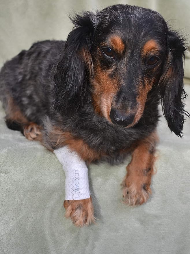 Protective Sleeve Tubular Cover - Bandages - for Dogs Cats and Other Pets First Aid Wound Care Comfortable Non-Adhesive Breathable & Water Resistant 12 Strips (yields 24-36 Covers)-(X-Small)