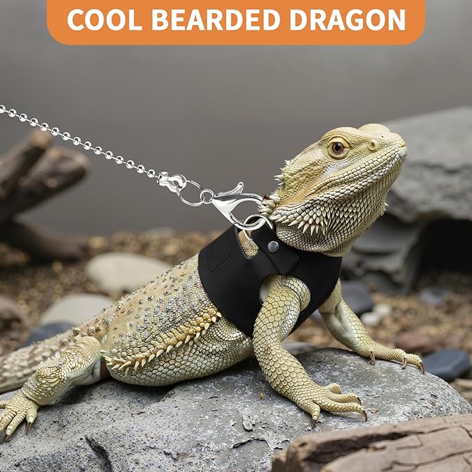 3 Pack Bearded Dragon Leash and Harness Set for Small Animals, 6.5FT Leash with 3 Sizes Adjustable Harness for Lizard Walking Adventure, Soft Vest Clothes for Squirrel Reptile Lovers -Black