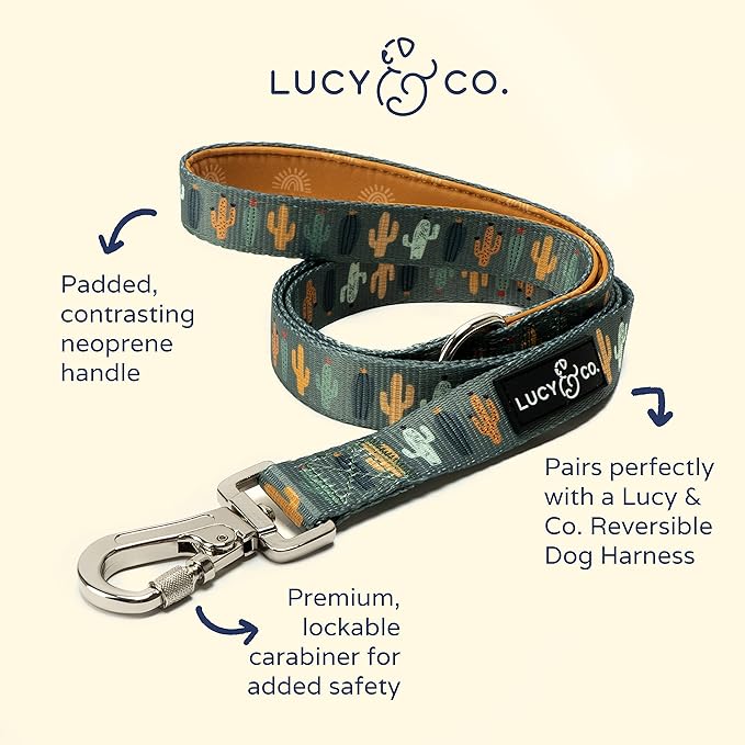 Lucy & Co. 5 Foot Designer Dog Leash – Puppy Leash – Pet Accessories & Supplies (Looking Sharp, Large)