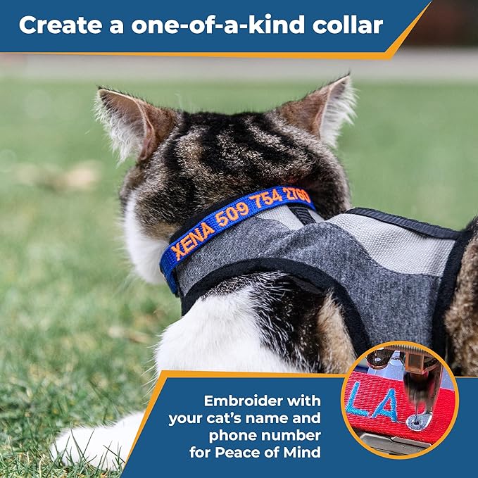 GoTags Personalized Cat Collars with Breakaway Safety Release Buckle, Custom Embroidered Cat Collar with Pet Name and Phone Number, Adjustable Nylon ID Collar with Bell for Cat or Kitten (Pack of 1)