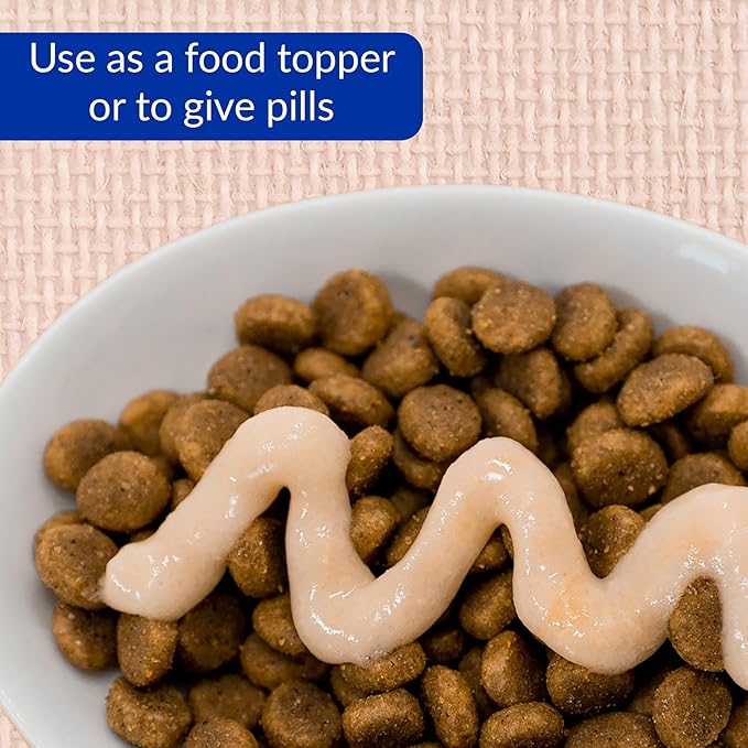 INABA Salmon Churu Cat Treats, Lickable, Squeezable Creamy Purée Cat Treat with Green Tea Extract & Taurine, 0.5 Ounces Each Tube, 60 Tubes, Salmon Variety Box