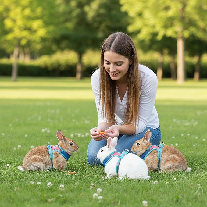Adjustable Bunny Harness and Leash Set, Double Buckles Breathable Mesh Rabbit Vest with Reflective Strips, Escape Proof Small Pet Walking Training Gear for Rabbits, Kittens, Ferrets, Guinea Pigs (S)