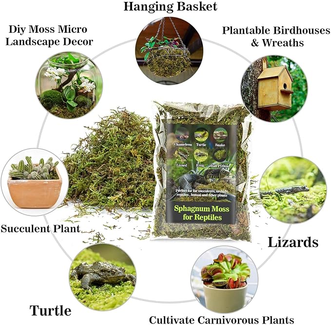 Sukh Sphagnum Moss for Reptiles -Terrarium Moss for Reptiles Peat Moss for Reptiles Habitat Bedding Moss for Snakes Turtle Frog Gecko and Other Reptiles Substrate (11.2, Ounces)