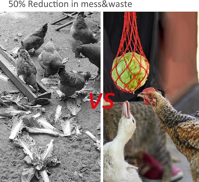 Chicken Vegetable Hanging Feeder Chicken Toys in Coop Veggies Holder Feeding for Poultry, Hens, Duck