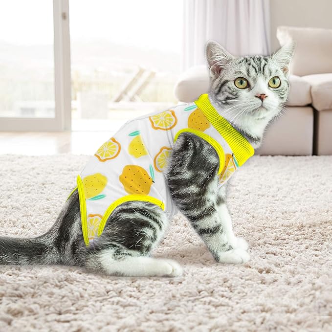 Cat Professional Surgical Recovery Suit,E-Collar Alternative for Cats Dogs,After Surgery Wear, Pajama Suit,Home Indoor Pets Clothing (L (8.5-11 Ibs), Lemon)