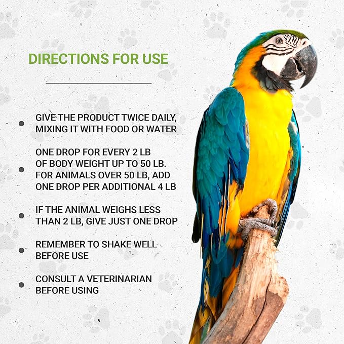 Birds Respiratory | Natural Herbal Dietary Pet Supplement for Birds | Healthy Respiratory System Support | Alcohol-Free Extract, Horehound, Linden, Peppermint, Elder Flowers, Fennel 2 oz