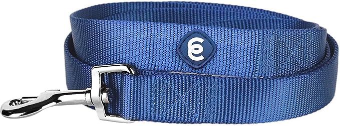Blueberry Pet Essentials Royal Blue Dog Leash for X-Small -5' * 3/8" Dogs | Heavy Duty Nylon Lead | Lightweight Puppy & Cat Leash for Walking & Training