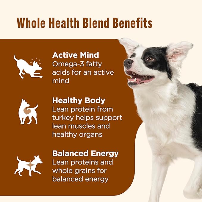 Nutrish Rachael Ray Wet Dog Food Chunks in Gravy Real Turkey, Brown Rice, Peas & Carrots Recipe, 13 oz. Can