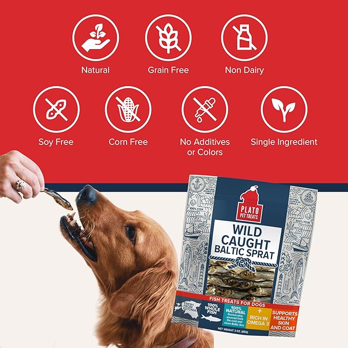 PLATO Pet Treats Fish Dog Treats - Air-Dried, Single Ingredient Dog Treat - with Omega 3 & 6 Fatty Acids to Support Skin and Coat - 100% Whole Fish - Wild Caught Baltic Sprat Dog Treats - 7.5 oz