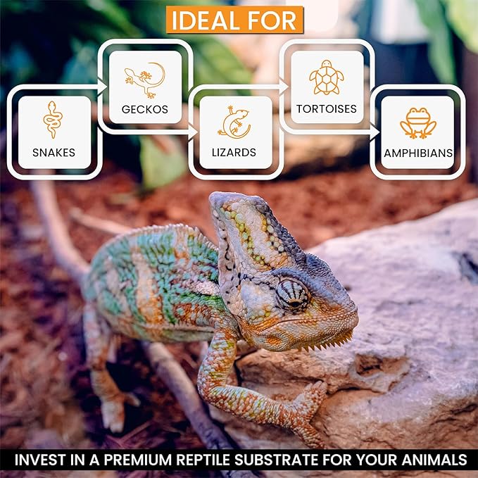 ReptiChip Reptile Substrate Coconut Chip Bedding 72 Quart Compressed Organic Coco Husk Block for Snake Habitat, Ball Python Terrarium, Turtle Tanks, Tortoise Enclosure (3 Pk)