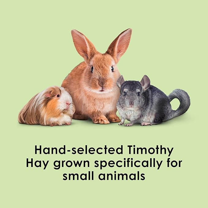 Kaytee Timothy Hay, High Fiber, Grown Specifically for Small Animals, Rabbits, Guinea Pigs, Chinchillas, Ideal Bulk Order for Small Pets, 12 pounds