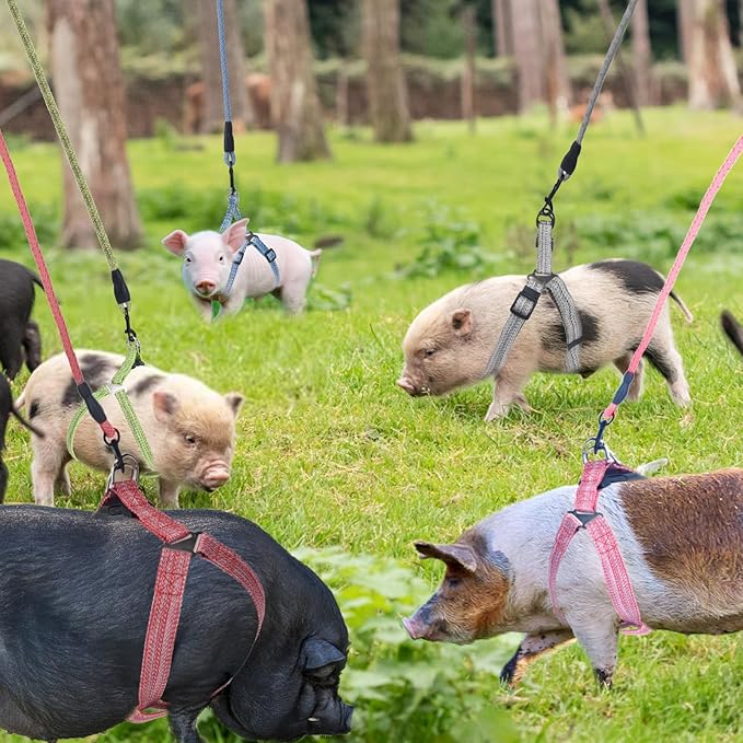 Mini Pig Harness, Adjustable Small Pig Harness with Leash Infinity Style Lead and Soft Foam Handle for Small to Medium Pet Pigs Walking Training Jogging (Green, XL)