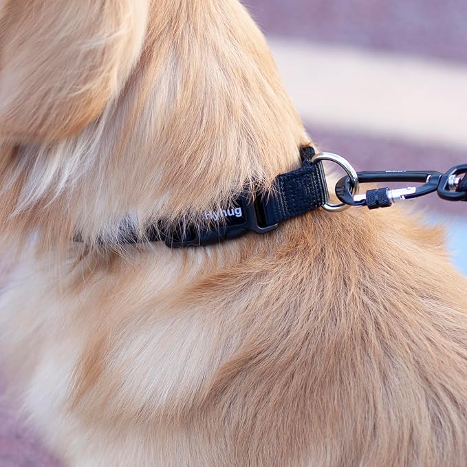 Hyhug Puppy Collar with Quick Release Buckle, Nylon Adjustable Durable Cute Dog Collar for Small Dogs, Male and Female(Small, Black)