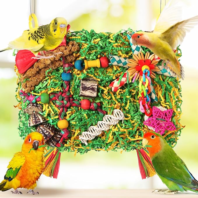 Bird Toys Parakeet Toys,Large-Sized Parrot Foraging & Shredding Cage Hanging Toys with Seagrass Mat for Budgies,Cockatiels,Lovebirds,Conures Small & Medium Parrots (Colorful with Starfruit (1PCS))