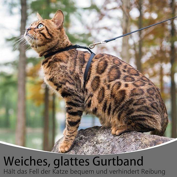 PUPTECK Adjustable Cat Harness and Leash Set Escape Proof Kitten Strap Collar for Walking Travel, Black, M