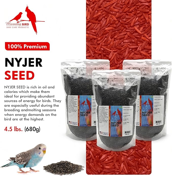 Morning Bird Nyjer Seed for Birds 4.5 lbs (3-Pack, 1.5 lbs Each)– Energizing Nutrition with Rich in Vitamins and Supplements – Ideal Bird Food for Breeding & Molting – Finch Seed for All Birds