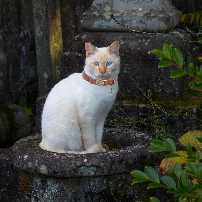 Cat Collar Breakaway, Personalized Leather Cat Collar with Bells-Adjustable Customized Collar with Name & Phone Number Tag for Girl Boy Cats -Quick Release Buckle for Cats & Kittens(Brown)