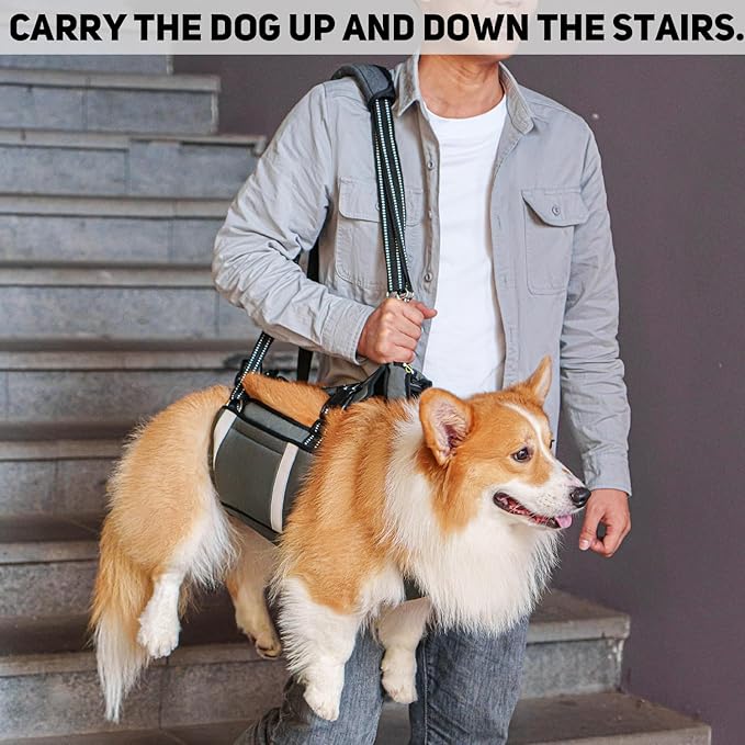 COODEO Mobility Dog Lift Harness, Emergency Carry Sling, Pet Rear Leg Support Rehabilitation Lifts Vest, Dog Carrier for Senior Dogs Joint Injuries, Arthritis (Military Green, L)