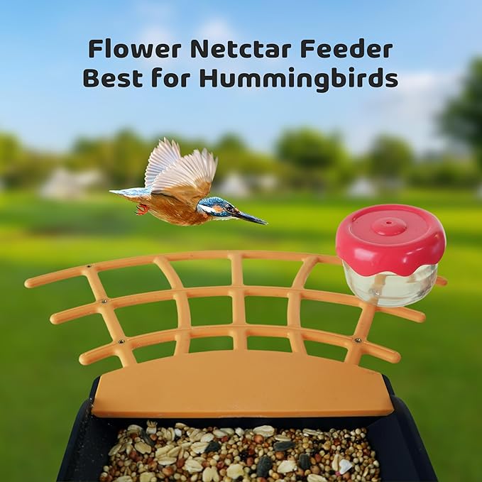 Birdkiss Smart Camera Bird Feeder with Solar Pannel, DIY Different Add-Ones Including Suet Ball, Jelly Feeder, Mini Hummingbird Feeder, Auto Capture Bird Full HD Videos, Ideal Present for Bird Lovers