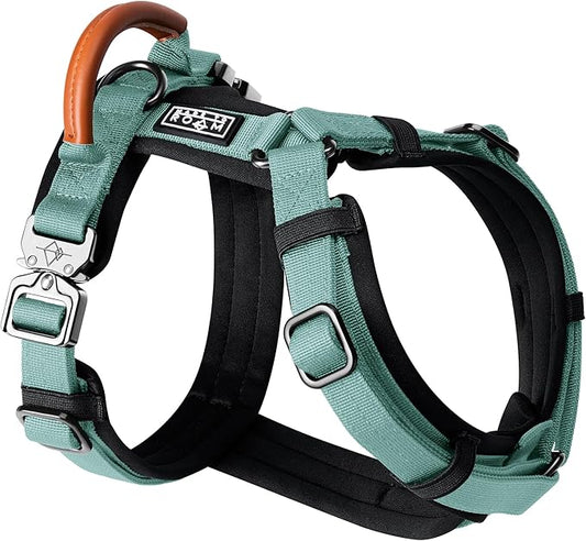MADE TO ROAM Premium Explorer Harness - Y-Shaped Dog Harness with Adjustable Durable Nylon, Soft Padding, Metal Buckles and Leather Handle for Small, Medium, Large Dogs (Florida Seaside, Size 2)