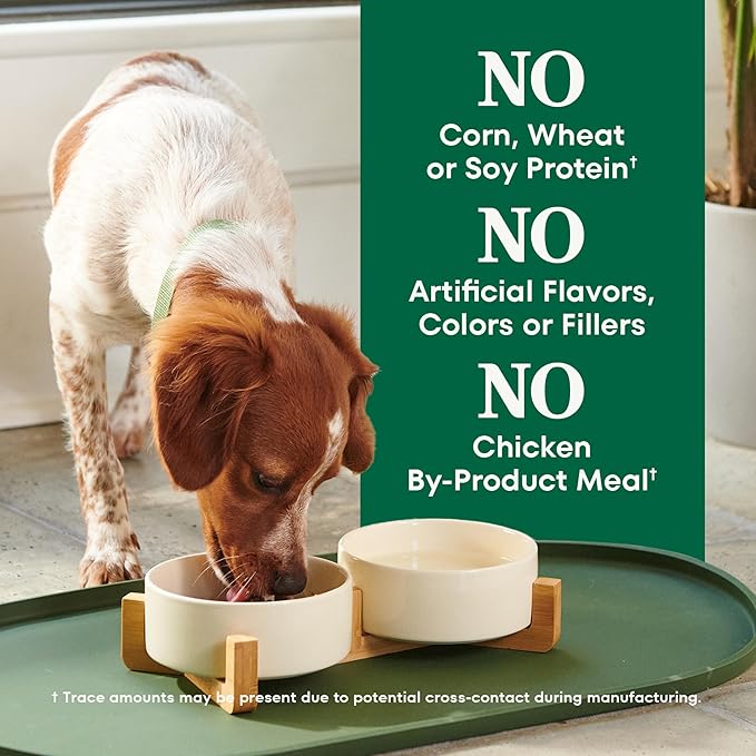 Nutro Natural Choice Lamb & Brown Rice Adult Small Bites Dog Food Recipe, 5 lb. Bag