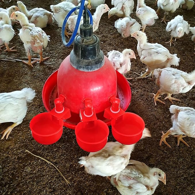 Patelai Chicken Water Cups, Chicken Waterer Cups Summer Water Feeder Cup 3/8 Inch Thread Automatic Filling Waterer Poultry Drinking Bowl for Duck Turkey Bunny(Red,12 Pieces)