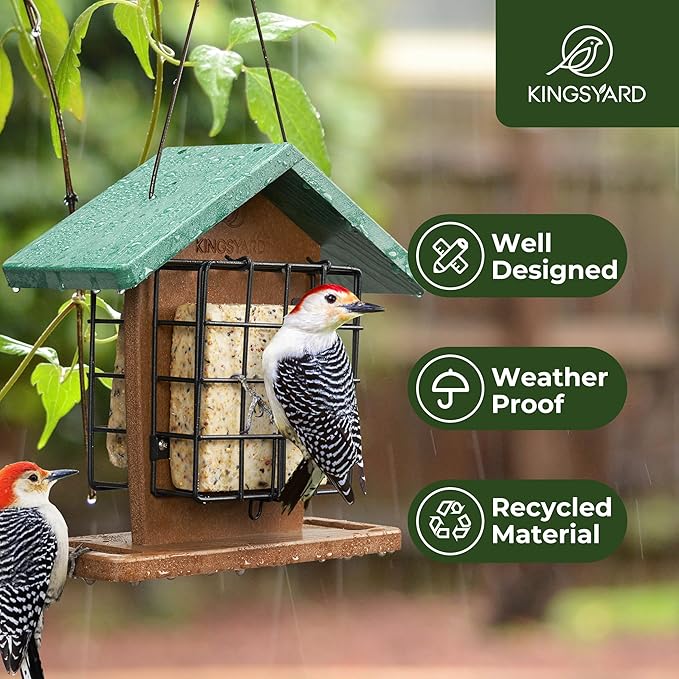 Kingsyard Recycled Plastic Double Suet Feeder with Rainproof Roof & Perch, Cage Suet Bird Feeders for Outdoors Hanging, Great for Woodpecker, Chickadee, Nuthatch (Green)