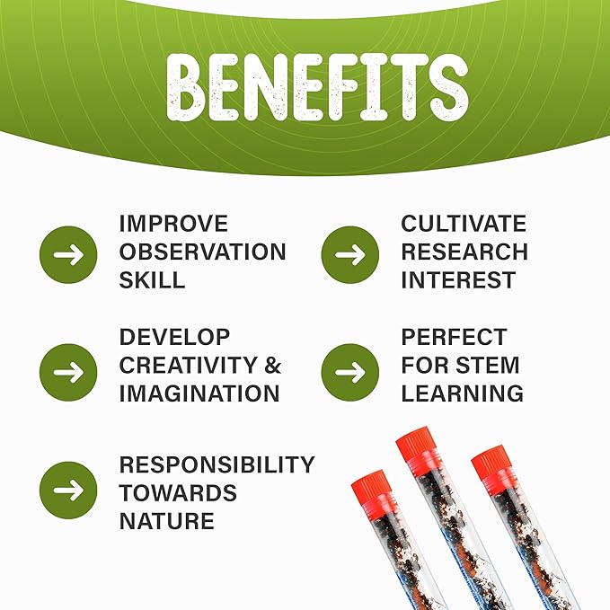 50 Live Red Harvester Ants with 10oz Sand for Ant Habitats – Live Arrival, Shipped Now – Perfect for Educational Science Projects & Interactive Habitat Experience